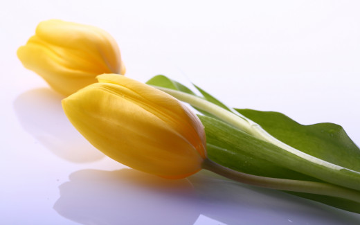780461 (a): :2560x1600